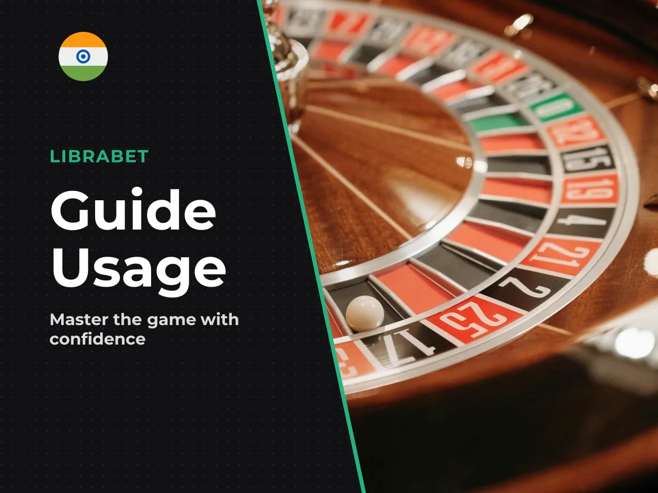 How to Use This Guide. This
